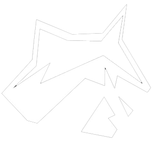 Mapache Hosting - hosting espanol recomendado